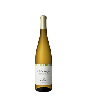 Müller Thurgau Alto Adige Valle Isarco DOC 2023 - Cantina Valle Isarco