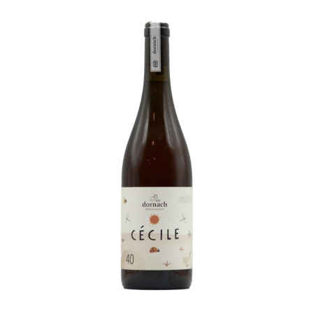 Souvignier Gris Mitterberg IGT Cécile 50 2023 - Dornach Patrick Uccelli