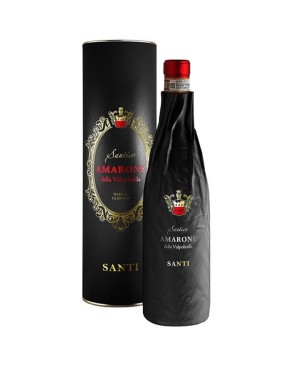 Amarone della Valpolicella DOCG Santico 2020 - Santi [Astucciato]