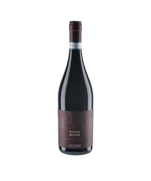 Valpolicella Ripasso Superiore DOC Bosan 2015 - Cesari