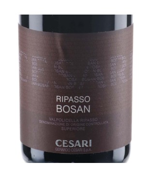 Valpolicella Ripasso Superiore DOC Bosan 2015 - Cesari