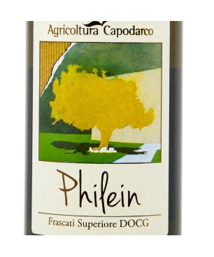 Frascati Superiore DOCG Philein 2018 - Capodarco