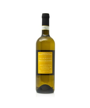 Vernaccia di San Gimignano DOCG Frammenti 2017 - Tenuta Montagnani