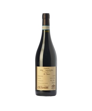 Amarone della Valpolicella Classico DOCG Il Bosco 2012 - Cesari