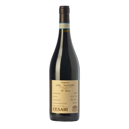 Amarone della Valpolicella Classico DOCG Il Bosco 2012 - Cesari