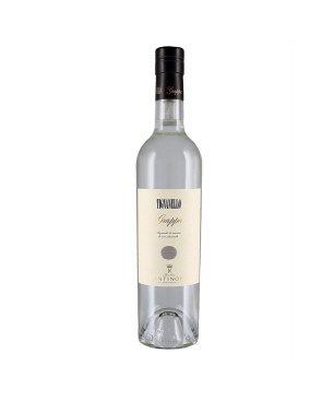 Grappa Antinori Tignanello - Antinori [0.50 lt]