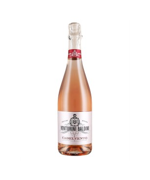 Lambrusco Rosato Reggiano DOP Brut Cadelvento - Venturini Baldini