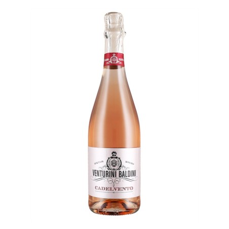 Lambrusco Rosato Reggiano DOP Brut Cadelvento - Venturini Baldini