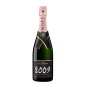 Champagne Rosé Grand Vintage Extra Brut 2009 - Moet & Chandon