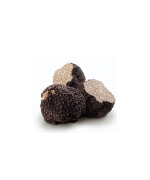 Tartufo Fresco Nero Estivo Scorzone [100 gr]