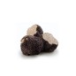 Tartufo Fresco Nero Estivo Scorzone [100 gr]