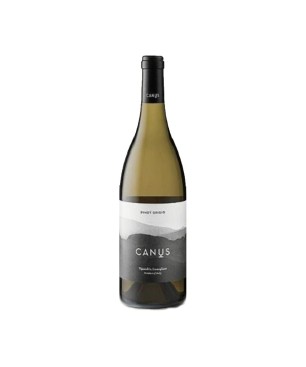 Pinot Grigio Friuli Colli Orientali DOC 2018 - Canus