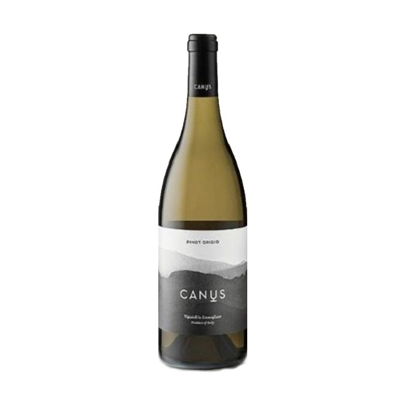 Pinot Grigio Friuli Colli Orientali DOC 2018 - Canus