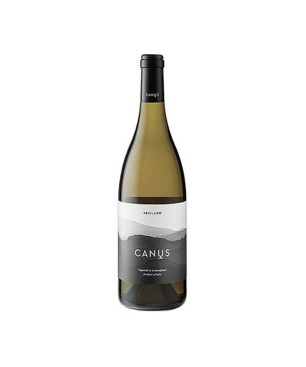 Friulano Friuli Colli Orientali DOC 2018 - Canus