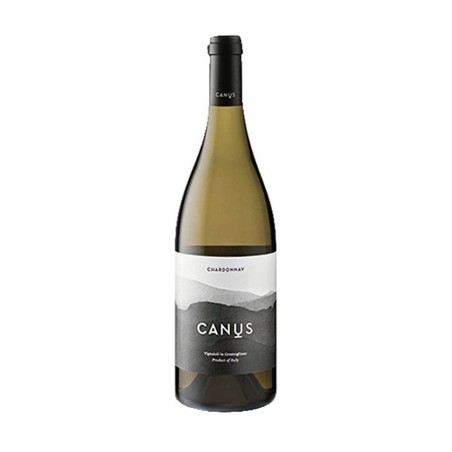 Chardonnay Friuli Colli Orientali DOC 2018 - Canus