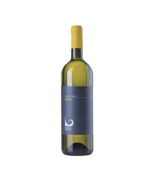 Bolgheri Bianco DOC Nova 2019 - Fabio Motta