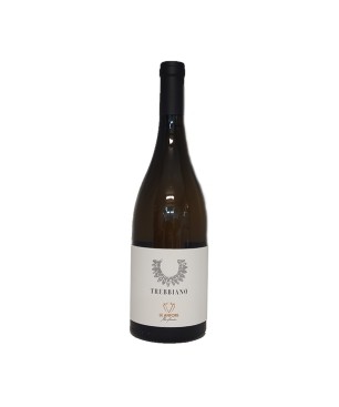 Trebbiano Toscana IGT Le Anfore 2019 - Elena Casadei