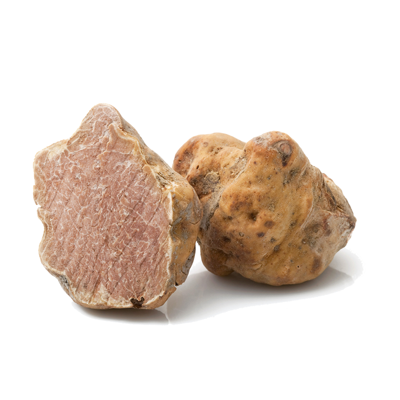 Tartufo Fresco Bianco Pregiato Urbani [100 gr]