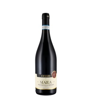 Valpolicella Ripasso Superiore DOC Mara 2018 - Cesari