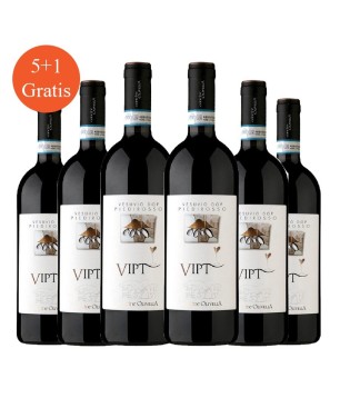 Piedirosso Vesuvio DOP Vipt 2020 - Cantine Olivella [5+1 gratis]