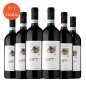 Piedirosso Vesuvio DOP Vipt 2020 - Cantine Olivella [5+1 gratis]