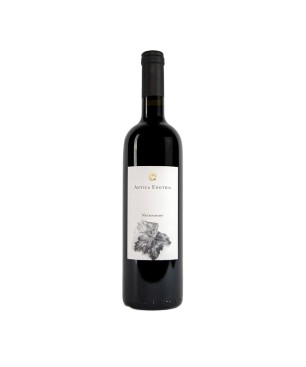 Negroamaro Puglia IGT 2018 - Antica Enotria