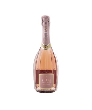 Spumante Rosé Alta Langa DOCG Metodo Classico Pas Dosé Millesimato 2016 - Elèm