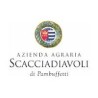 Scacciadiavoli