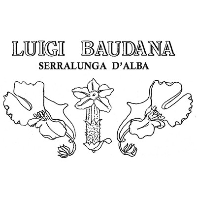 Luigi Baduana