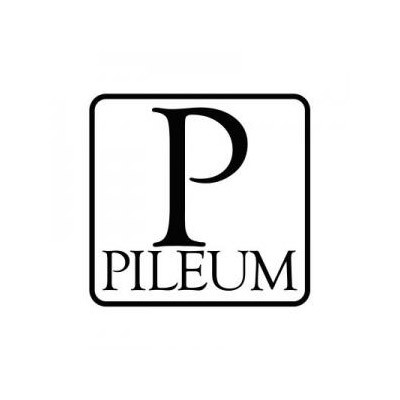 Pileum