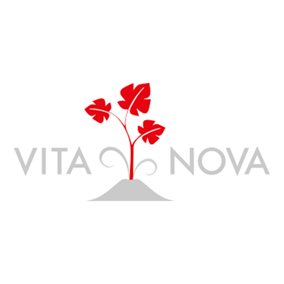 Vita Nova